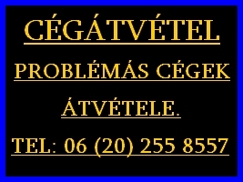 Köztartozás, házipénztár, tagikölcsön, könyvelési probléma? Cégét rugalmas feltételekkel átvesszem. Köztartozás, házipénztár, tagikölcsön, könyvelési probléma? Cégét rugalmas feltételekkel átvesszem.