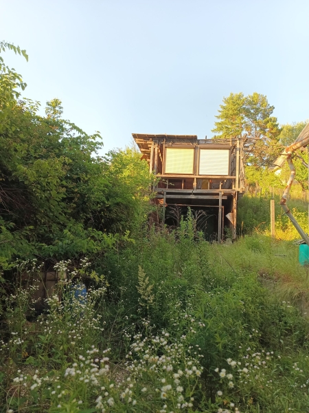 Baj, szőlőhegyen építésért, befejezésért kiadó borpince feletti ház 