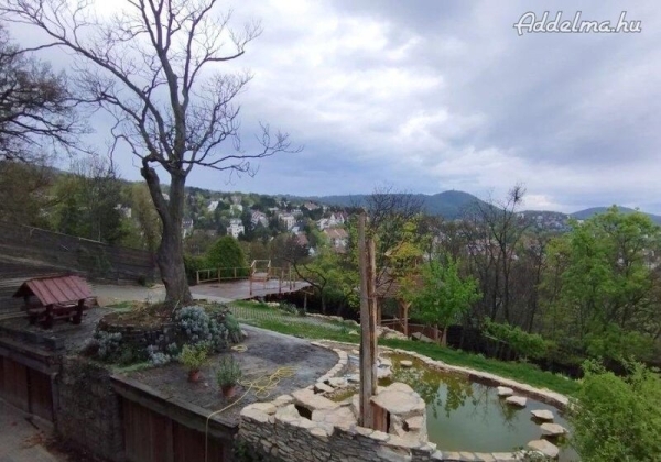 Istenhegyen szobák kiadók